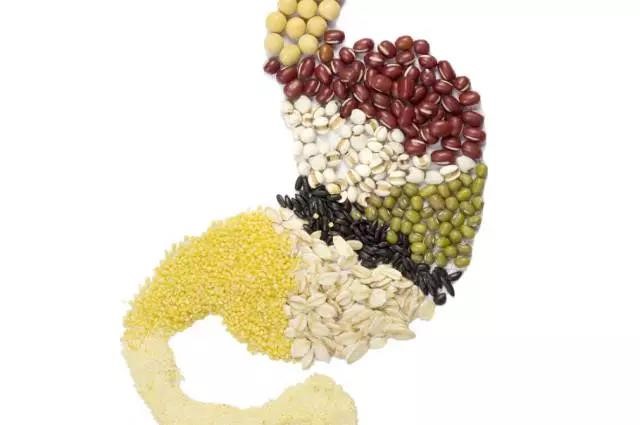 長(zhǎng)夏養(yǎng)生，吃出好“ 胃”口！