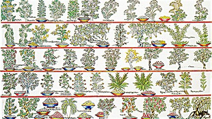 藏藥材資源分布、發(fā)展史